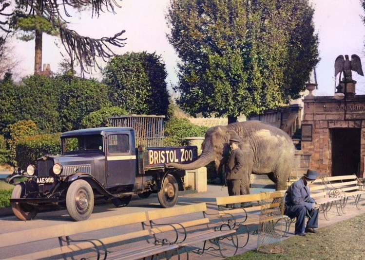 FORMER BRISTOL ZOO GARDENS - THE BENCHES - TIMED AUCTION