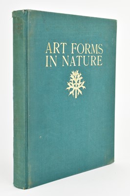 Lot 45 - BLOSSFELDT, KARL. 1929 ART FORMS IN NATURE