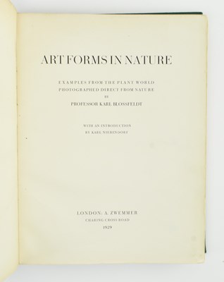 Lot 45 - BLOSSFELDT, KARL. 1929 ART FORMS IN NATURE