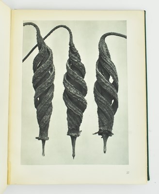Lot 45 - BLOSSFELDT, KARL. 1929 ART FORMS IN NATURE