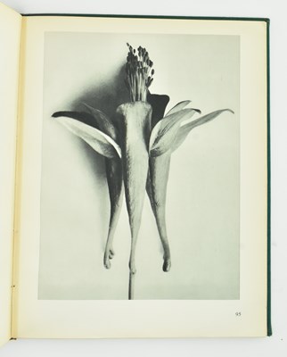 Lot 45 - BLOSSFELDT, KARL. 1929 ART FORMS IN NATURE