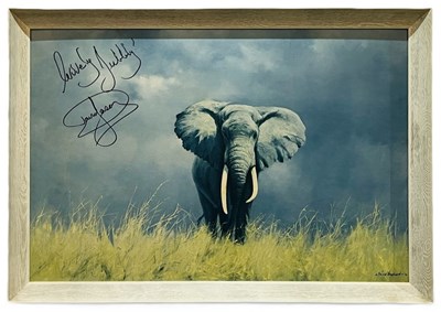 Lot 120 - ONLY FOOLS & HORSES - DAVID JASON SIGNED ELEPHANT PICTURE PROP