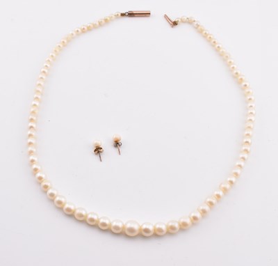 Lot 342 - PEARL NECKLACE & PAIR OF PEARL STUD EARRINGS