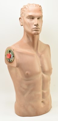 Lot 167 - GEMINI - VINTAGE MALE MODEL TORSO MANNEQUIN