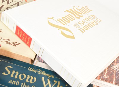 Lot 195 - DISNEY - COLLECTION OF WALT DISNEY ANIMATION FILM BOOKS