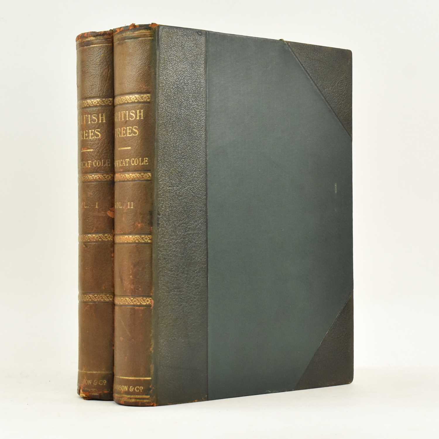Lot 213 - DENDROLOGY. 1907 BRITISH TREES DRAWN AND DESCRIBED BY REX VICAT COLE, 2VOLS