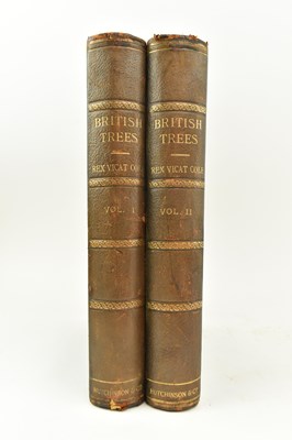 Lot 213 - DENDROLOGY. 1907 BRITISH TREES DRAWN AND DESCRIBED BY REX VICAT COLE, 2VOLS