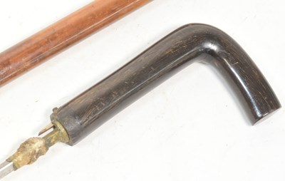 Lot 101 - EARLY 20TH CENTURY SWORD STICK