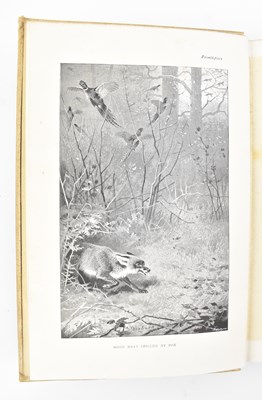 Lot 51 - NATURAL HISTORY. C1900 FUR, FEATHER & FIN SERIES EIGHTEEN VOLS IN ORIG. CLOTH