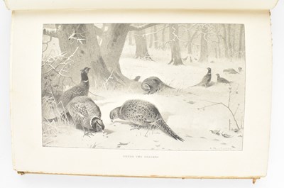Lot 51 - NATURAL HISTORY. C1900 FUR, FEATHER & FIN SERIES EIGHTEEN VOLS IN ORIG. CLOTH