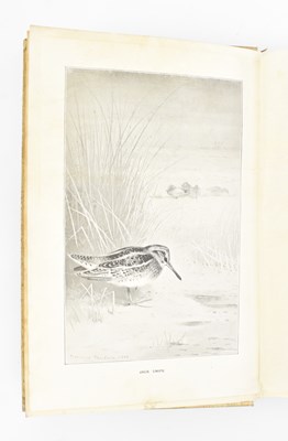 Lot 51 - NATURAL HISTORY. C1900 FUR, FEATHER & FIN SERIES EIGHTEEN VOLS IN ORIG. CLOTH
