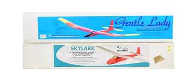 Lot 297 - MODEL PLANES - X2 RC MODEL PLANE KITS