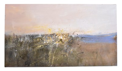 Lot 49 - CHRISTOPHER D. HANKEY (B. 1963) - WILD FLOWERS AT SUNSET, 2007