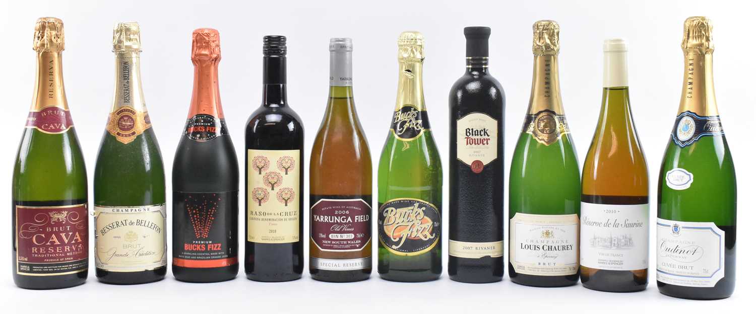 Lot 171 - TEN SPANISH, FRENCH, AUSTRALIAN & MORE WINE BOTTLES