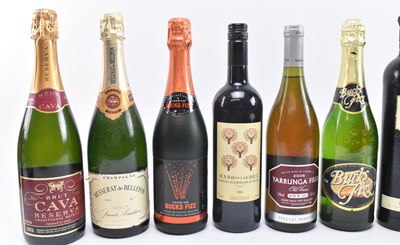 Lot 171 - TEN SPANISH, FRENCH, AUSTRALIAN & MORE WINE BOTTLES