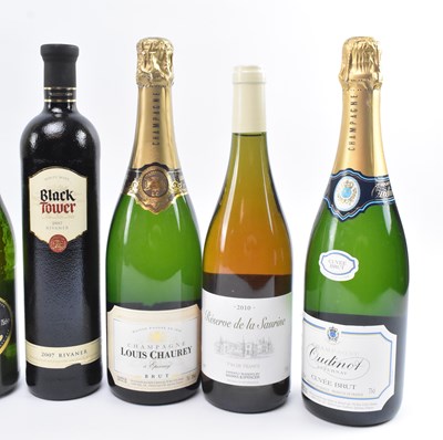 Lot 171 - TEN SPANISH, FRENCH, AUSTRALIAN & MORE WINE BOTTLES