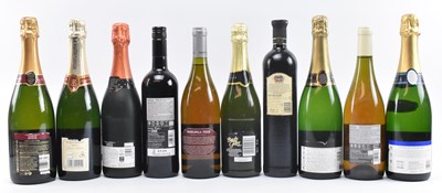 Lot 171 - TEN SPANISH, FRENCH, AUSTRALIAN & MORE WINE BOTTLES