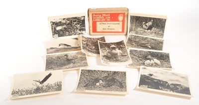 Lot 545 - 20TH CENTURY DAILY MAIL SCHOOL AID LIBRARY OF 100 BIRD PHOTOGRAPHS