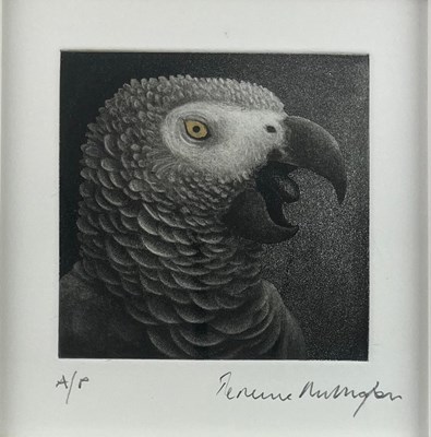 Lot 109 - TERENCE MILLINGTON (B. 1943) - SIGNED ARTIST'S PROOF PRINT OF AFRICAN GREY PARROT