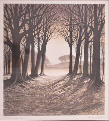 Lot 148 - KATHLEEN CADDICK (B. 1937) - WOODLAND EDGE ETCHING