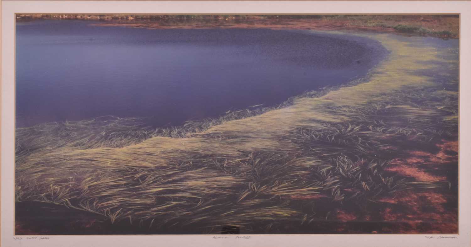 Lot 154 - SEAN CANNON - WILD SWEET GRAINS, ACHILL ISLAND