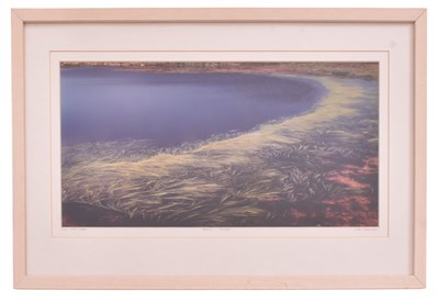 Lot 154 - SEAN CANNON - WILD SWEET GRAINS, ACHILL ISLAND