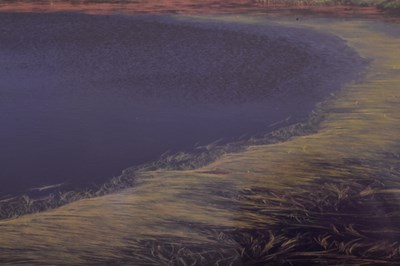 Lot 154 - SEAN CANNON - WILD SWEET GRAINS, ACHILL ISLAND
