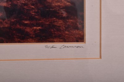 Lot 154 - SEAN CANNON - WILD SWEET GRAINS, ACHILL ISLAND
