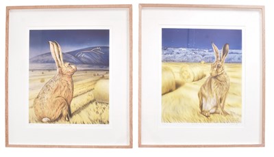 Lot 136 - JOANNA MAY (BRITISH) - TWO LIMITED HARE PRINTS