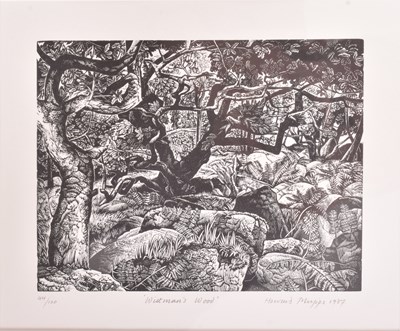 Lot 121 - HOWARD PHIPPS (B. 1954) - WHITMAN'S WOOD - 1987 PRINT OF WOODCUT ENGRAVING