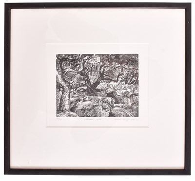 Lot 121 - HOWARD PHIPPS (B. 1954) - WHITMAN'S WOOD - 1987 PRINT OF WOODCUT ENGRAVING
