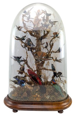Lot 300 - VICTORIAN 19TH CENTURY GLASS DOME TAXIDERMY DISPLAY OF HUMMINGBIRDS