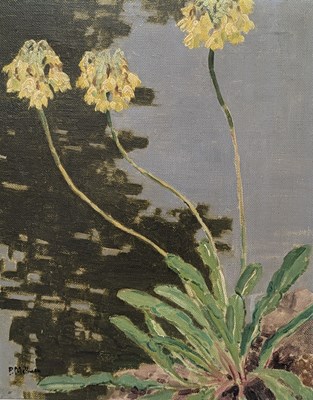 Lot 348 - LORD PAUL AYSHFORD METHUEN (1886-1974) - PRIMULA - OIL ON CANVAS STILL LIFE