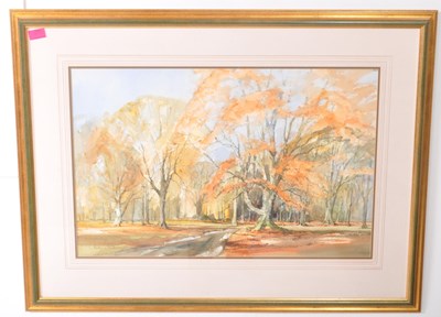 Lot 1047 - ANDY C.G. LE POIDEVIN - 2001 WATERCOLOUR PAINTING 'AUTUMN BEECHES'