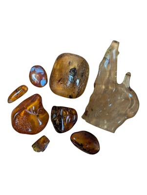 Lot 276 - NATURAL HISTORY INTEREST - COLLECTION OF PREHISTORIC AMBER SPECIMENS