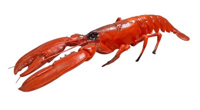 Lot 296 - VINTAGE PLASTIC LOBSTER DECORATION