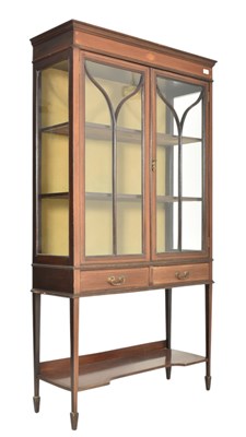 Lot 465 - EDWARDIAN MAHOGANY & ASTRAGAL GLAZED DISPLAY CABINET VITRINE