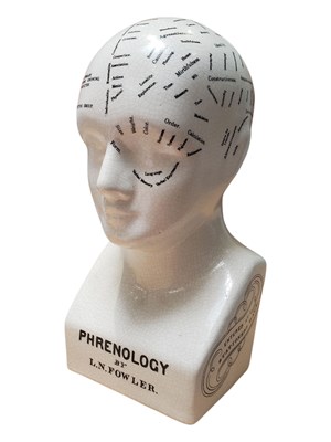 Lot 477 - 20TH CENTURY CERAMIC PHRENOLOGY HEAD BY L. N. FOWLER