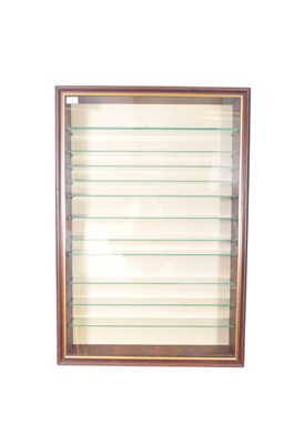 Lot 753 - WALL MOUNTED GLASS MODEL / MINIATURES DISPLAY CASE