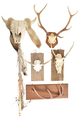 Lot 287 - BOVINE CATTLE SKULL & FUR TOTEM STAFF STICK T/W 4 OTHERS