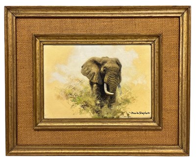 Lot 350 - DAVID SHEPHERD (1931-2017) - ELEPHANT STUDY - OIL ON CANVAS