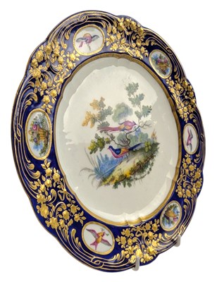 Lot 110 - SEVRES PORCELAIN - LATE 18TH CENTURY HAND PAINTED ORNITHOLOGICAL PORCELAIN CABINET PLATE