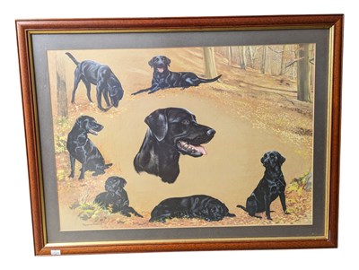 Lot 833 - POLLYANNA PICKERING (1942 - 2018) - PRINT OF A BLACK LAB DOG