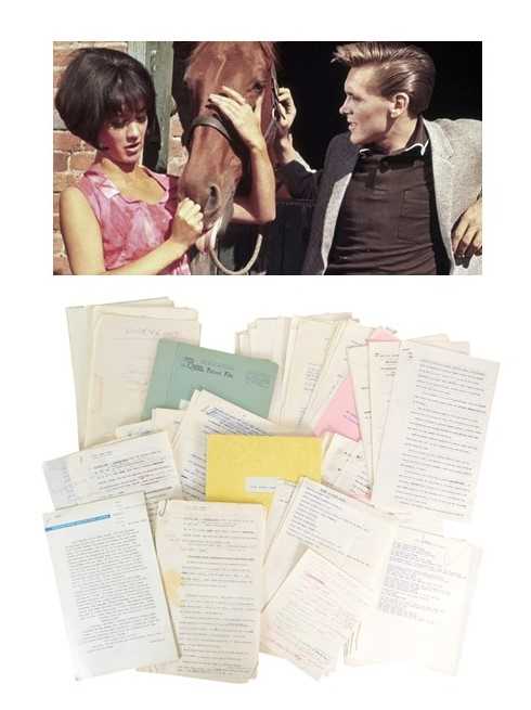 Lot 125 - THE RONALD WOLFE COLLECTION - I'VE GOTTA HORSE