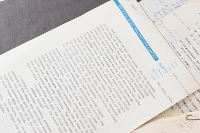 Lot 125 - THE RONALD WOLFE COLLECTION - I'VE GOTTA HORSE