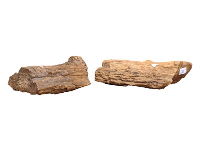 Lot 935 - TWO PIECES OF PETRIFIED WOOD - SAHARA DESERT IN ALGERIA
