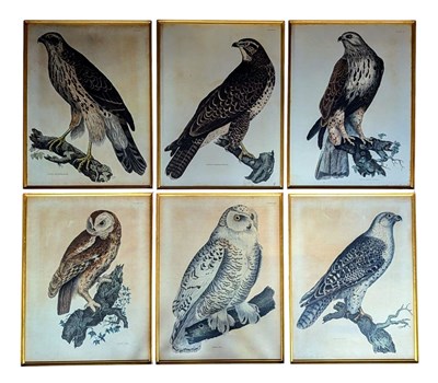 Lot 370 - SELBY (PRIDEAUX JOHN, 1788-1867) - SIX COLOURED ETCHINGS ON PAPER OF BIRDS