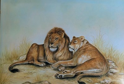 Lot 411 - H.C. BABINGTON - LION AND LIONESS OF BRISTOL ZOO WATERCOLOUR