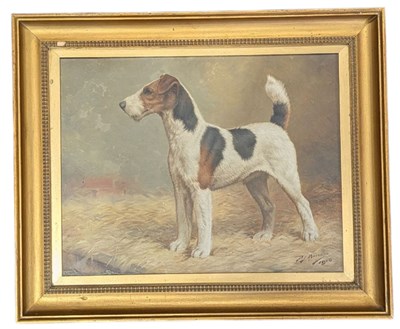 Lot 257 - PERCY J BAYZAND - COLLARBONE OF NOTTS - OIL ON CANVAS PAINTING OF A FOX TERRIER DOG