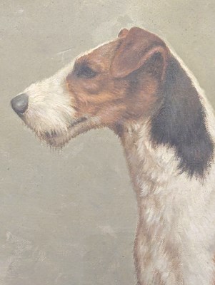 Lot 257 - PERCY J BAYZAND - COLLARBONE OF NOTTS - OIL ON CANVAS PAINTING OF A FOX TERRIER DOG
